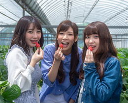 予約できるいちご狩り農園